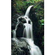 Garden poster Cascade